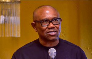 ‘I will serve only one term of four years if elected president’, Peter Obi insists Peter obi