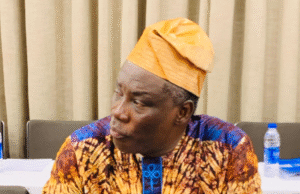 My leadership dream started at 14 – Ogun speaker Ogun